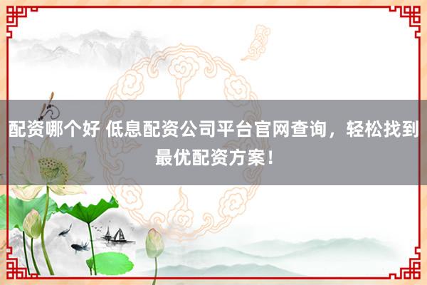 配资哪个好 低息配资公司平台官网查询，轻松找到最优配资方案！