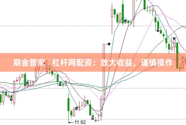 期金管家   杠杆网配资：放大收益，谨慎操作