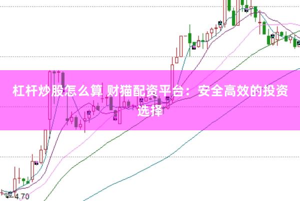 杠杆炒股怎么算 财猫配资平台：安全高效的投资选择