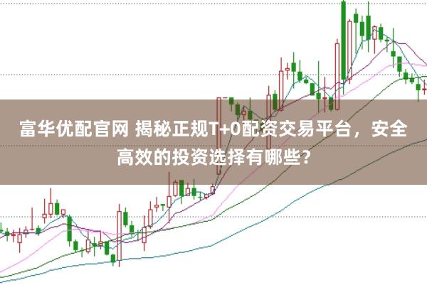 富华优配官网 揭秘正规T+0配资交易平台，安全高效的投资选择有哪些？