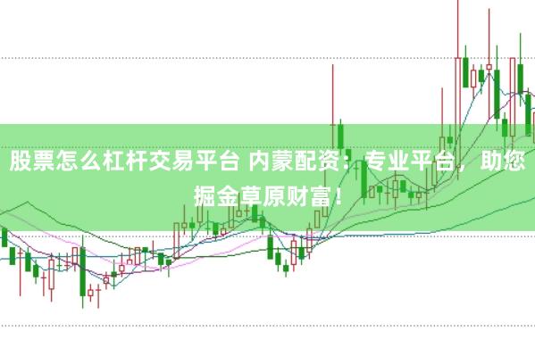 股票怎么杠杆交易平台 内蒙配资：专业平台，助您掘金草原财富！