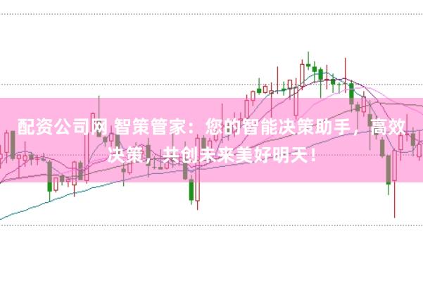 配资公司网 智策管家：您的智能决策助手，高效决策，共创未来美好明天！