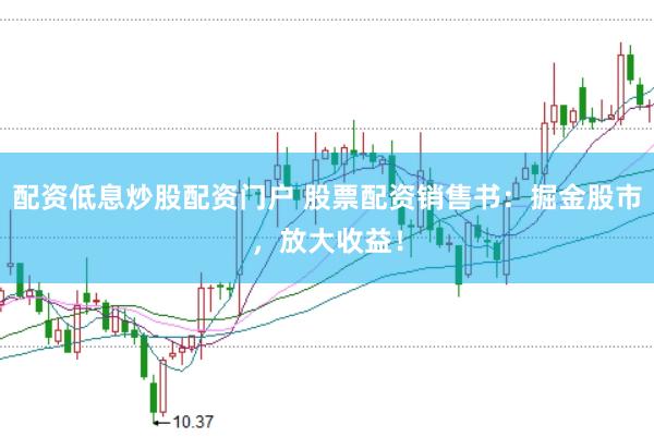 配资低息炒股配资门户 股票配资销售书：掘金股市，放大收益！