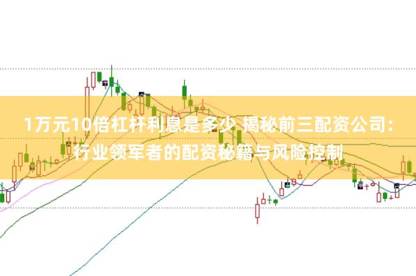1万元10倍杠杆利息是多少 揭秘前三配资公司：行业领军者的配资秘籍与风险控制