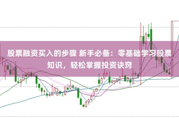 股票融资买入的步骤 新手必备：零基础学习股票知识，轻松掌握投资诀窍