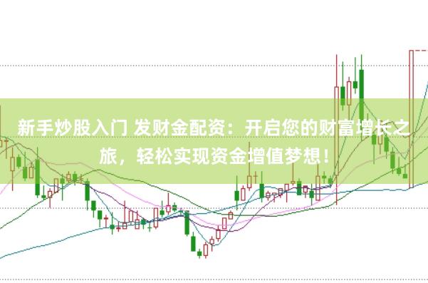 新手炒股入门 发财金配资：开启您的财富增长之旅，轻松实现资金增值梦想！