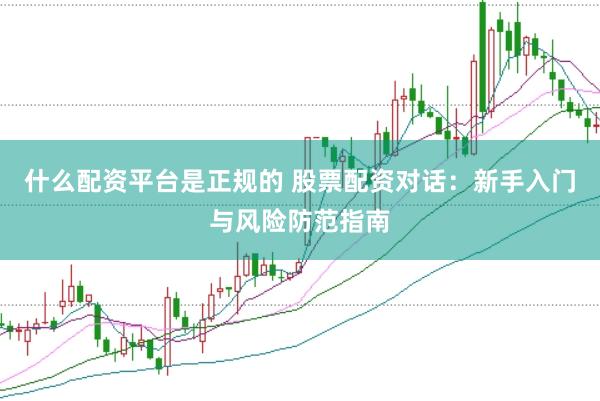 什么配资平台是正规的 股票配资对话：新手入门与风险防范指南