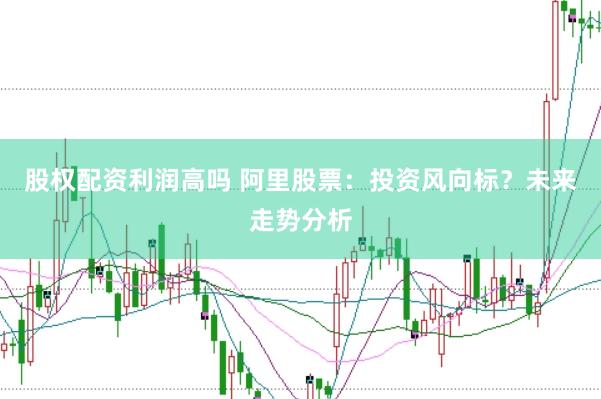 股权配资利润高吗 阿里股票：投资风向标？未来走势分析
