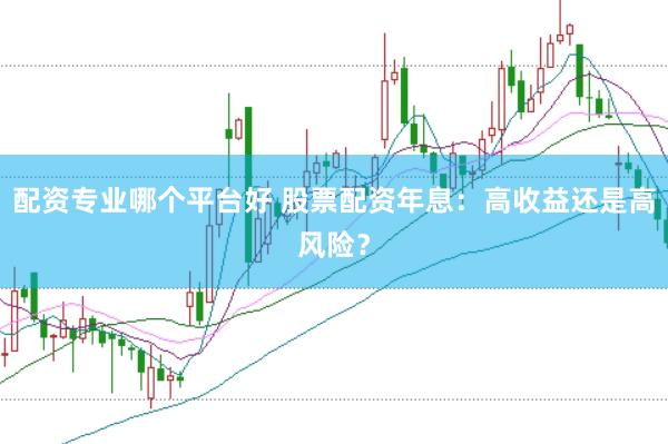配资专业哪个平台好 股票配资年息：高收益还是高风险？