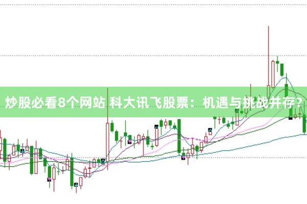 炒股必看8个网站 科大讯飞股票：机遇与挑战并存？
