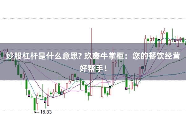炒股杠杆是什么意思? 玖鑫牛掌柜：您的餐饮经营好帮手！