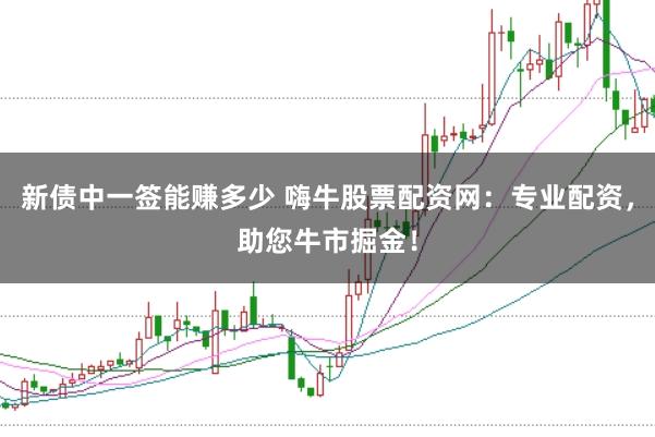 新债中一签能赚多少 嗨牛股票配资网:专业配资,助您牛市掘金!